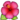 hibiscus.png